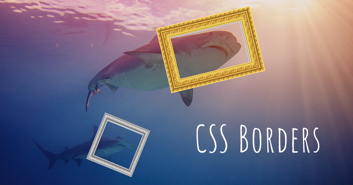 CSS Borders: 7+ Examples